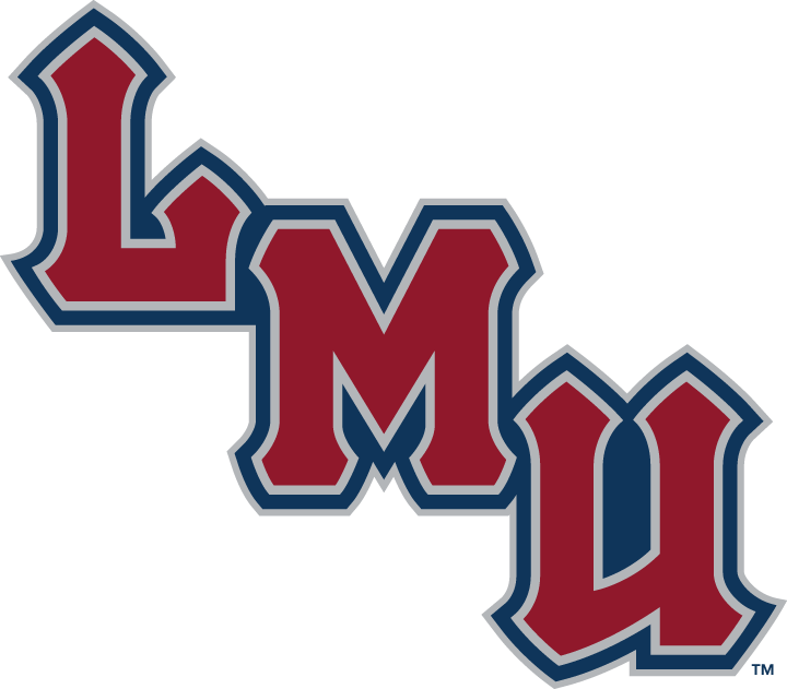 Loyola Marymount Lions 2001-Pres Wordmark Logo v4 diy fabric transfer